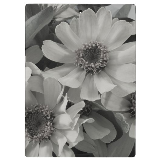 Brown Eyed Susan Flowers Klembord (Achterkant)