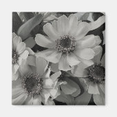 Brown Eyed Susan Flowers Magneet (Voorkant)