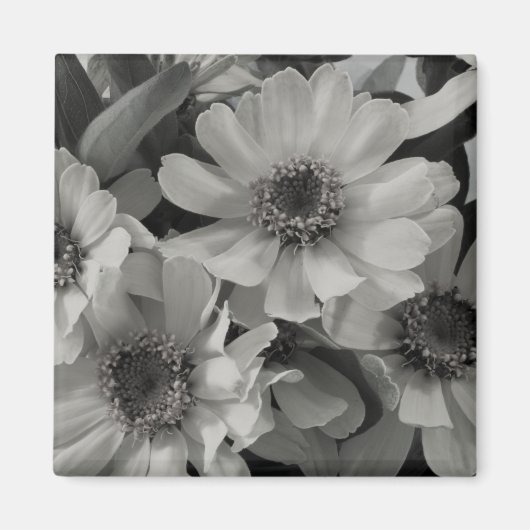 Brown Eyed Susan Flowers Magneet (Voorkant)