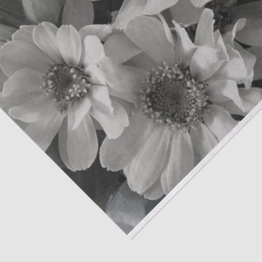 Brown Eyed Susan Flowers Tissuepapier (Detail)