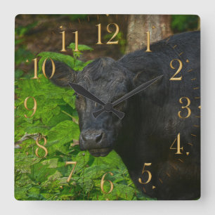 Brown Eyes - Steer and Forest Large Clock Vierkante Klok