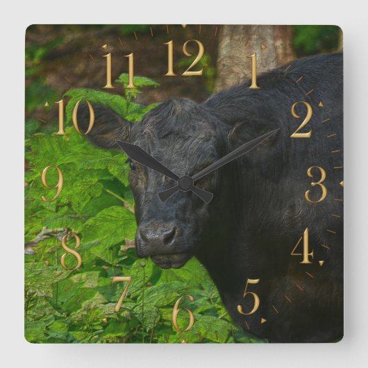 Brown Eyes - Steer and Forest Large Clock Vierkante Klok (Voorkant)