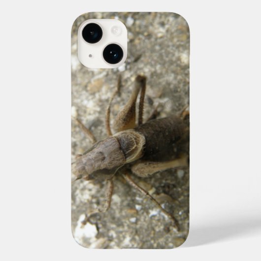 Brown Field Cricket Case-Mate iPhone Case (Achterkant)
