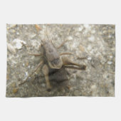 Brown Field Cricket Kitchen Towel Theedoek (Horizontaal)