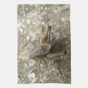 Brown Field Cricket Kitchen Towel Theedoek