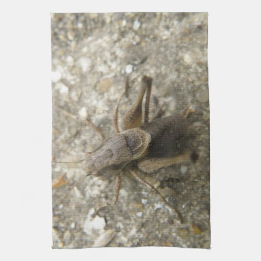 Brown Field Cricket Kitchen Towel Theedoek (Verticaal)