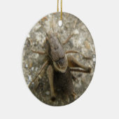 Brown Field Cricket Ornament (Rechts)