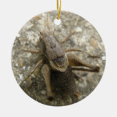Brown Field Cricket Ornament (Voorkant)