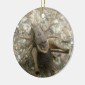Brown Field Cricket Ornament (Links)