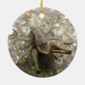 Brown Field Cricket Ornament (Achterkant)