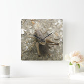 Brown Field Cricket Wall klok (Huis)