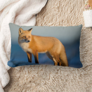 Brown Fox Lumbar Pillow Kussen