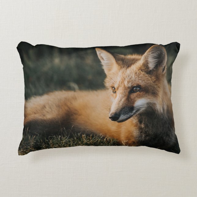 BROWN FOX ON GROUND ACCENT KUSSEN (Voorkant)