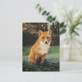 Brown Fox Photo Briefkaart (Staand voorkant)