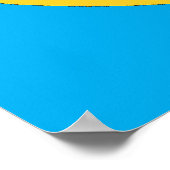 BROWN Governor POSTER Print (Hoek)