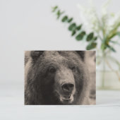 Brown Grizzly Beer Wildlife Foto Briefkaart (Staand voorkant)