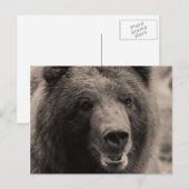 Brown Grizzly Beer Wildlife Foto Briefkaart (Voorkant / Achterkant)