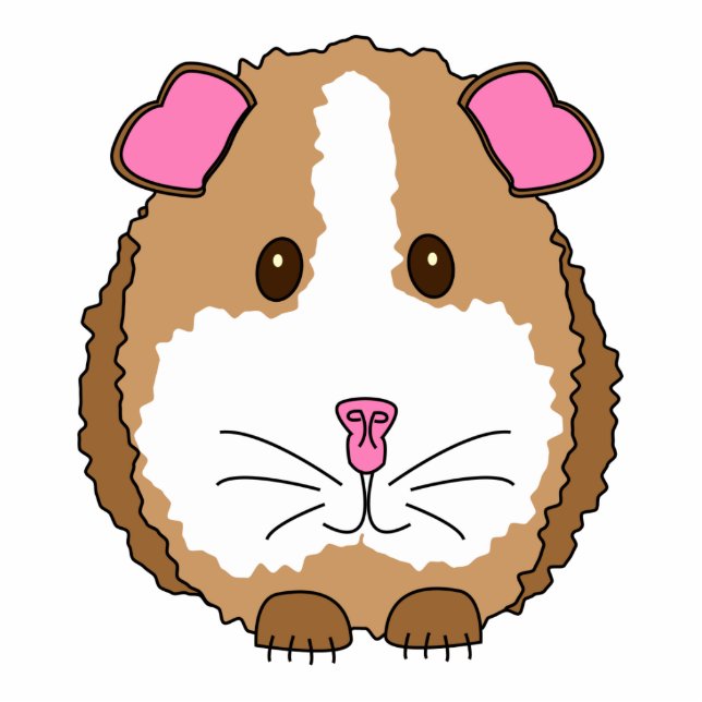 Brown Guinee Pig Fotobeeldje Sleutelhanger (Voorkant)