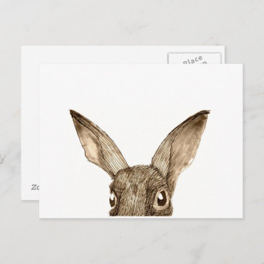Brown Hare II Briefkaart (Voorkant / Achterkant)