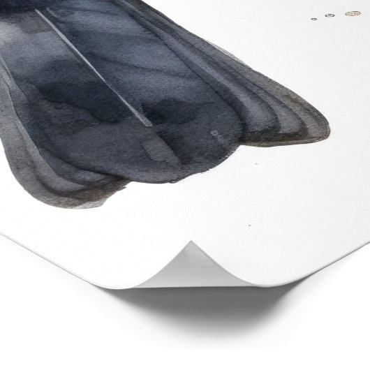 Brown Headed Cowbird Art Print Poster (Hoek)