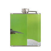 Brown Headed Cowbird Heupfles (Achterkant)