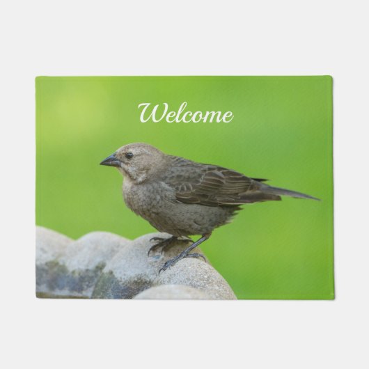Brown Headed Cowbird Welcome Doormat Deurmat (Voorkant)