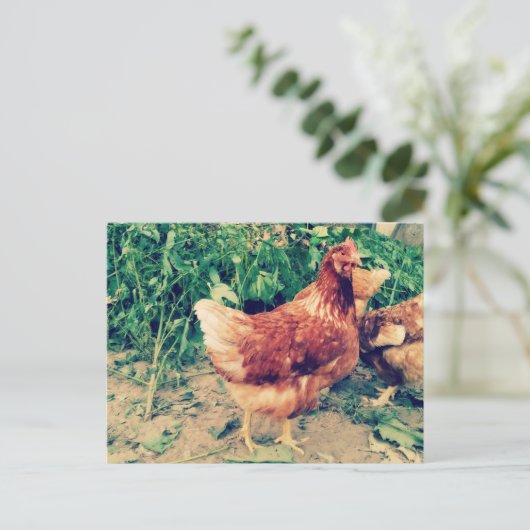 Brown Hen briefkaart (Staand voorkant)