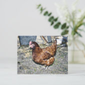 Brown Hen op de achterkant Briefkaart (Staand voorkant)