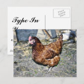 Brown Hen op de achterkant Briefkaart (Voorkant / Achterkant)