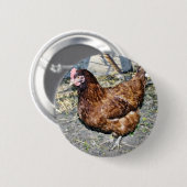 Brown Hen op de achterkant Ronde Button 5,7 Cm (Voorkant /achterkant)