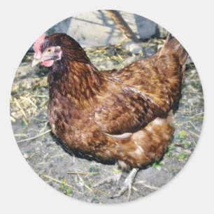 Brown Hen op de achterkant Ronde Sticker