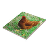 Brown Hen Tegeltje (Zijkant)