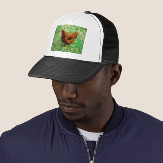 Brown Hen Trucker Pet (In situ)