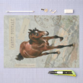 Brown Horse Carte Postale, Franse groene ontkoppel Tissuepapier (Craft)