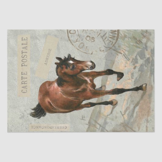Brown Horse Carte Postale, Franse groene ontkoppel Tissuepapier (Voorkant)