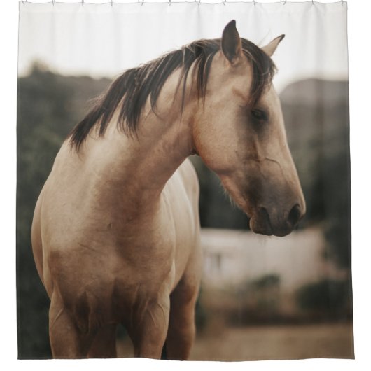 BROWN HORSE DOUCHEGORDIJN (Voorkant)