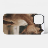 BROWN HORSE iPhone HOESJE (Achterkant horizontaal)