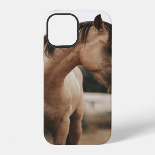 BROWN HORSE iPhone HOESJE (Achterkant)