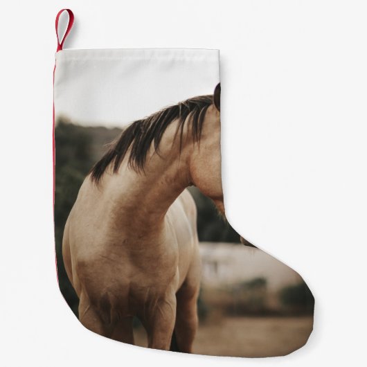 BROWN HORSE KLEINE KERSTSOK (Voorkant)
