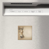 BROWN-HORSE MAGNEET (Insitu (Vaatwasser))