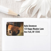 Brown Horse Nose Photo Cute and Rustic Etiket (Insitu)