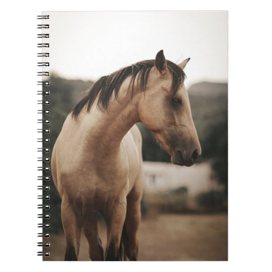 BROWN HORSE NOTITIEBOEK (Voorkant)