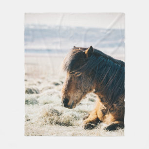 BROWN HORSE SITTING ON GRASS NEAR BEACH FLEECE DEKEN