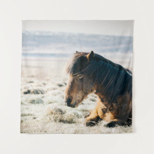 BROWN HORSE SITTING ON GRASS NEAR BEACH WANDKLEED