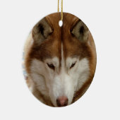 Brown Husky Ornament (Rechts)