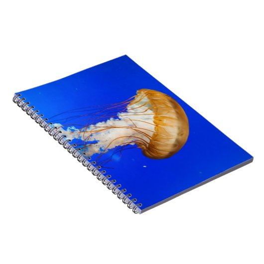 BROWN JELLYFISH NOTITIEBOEK (Rechterzijde)