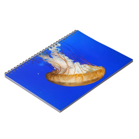 BROWN JELLYFISH NOTITIEBOEK (Linkerzijde)