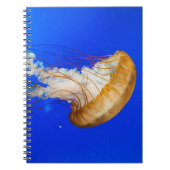 BROWN JELLYFISH NOTITIEBOEK (Voorkant)