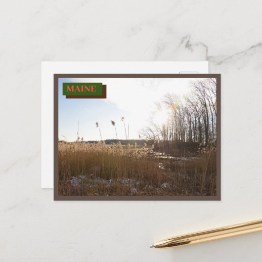 Brown Kittery Seapoint Beach Maine Natuur Briefkaart (Voorkant / Achterkant in situ)