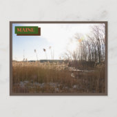 Brown Kittery Seapoint Beach Maine Natuur Briefkaart (Voorkant)